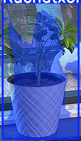 TREE-000013_20260623_064559.jpg