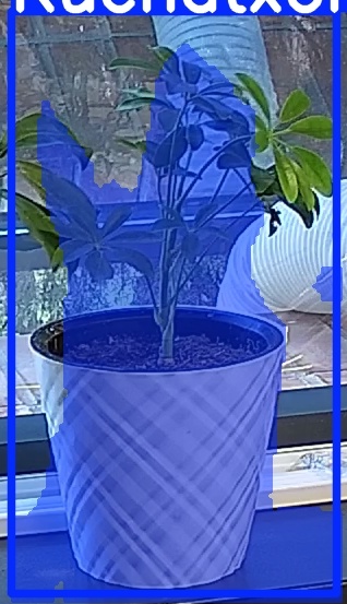 TREE-000013_20260623_064710.jpg