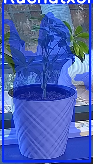 TREE-000013_20260623_064835.jpg