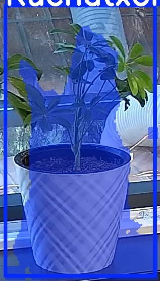 TREE-000013_20260623_064945.jpg