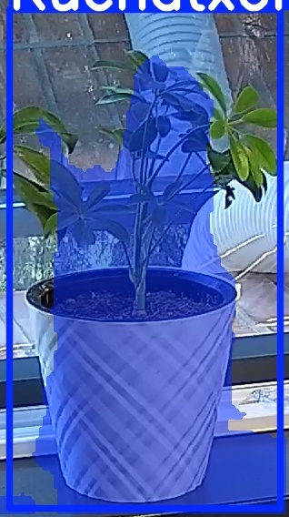 TREE-000013_20260623_065209.jpg