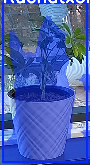 TREE-000013_20260623_073837.jpg
