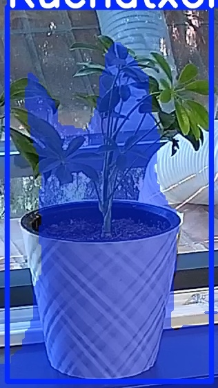 TREE-000013_20260623_074332.jpg