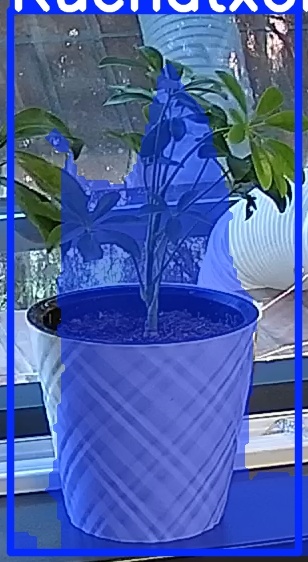 TREE-000013_20260623_074442.jpg