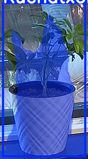 TREE-000013_20260623_074552.jpg