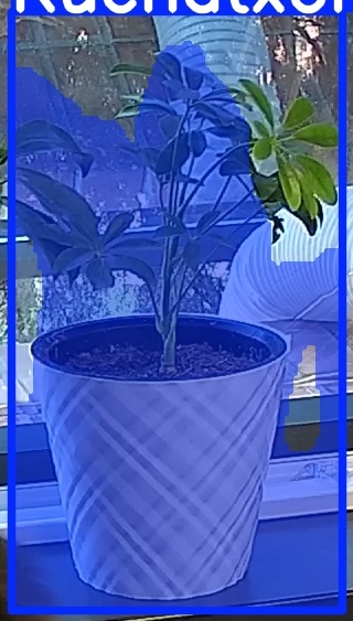 TREE-000013_20260623_074828.jpg