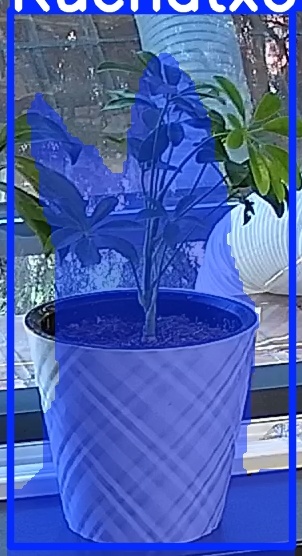 TREE-000013_20260623_075650.jpg