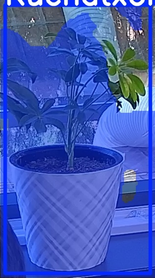 TREE-000013_20260623_080133.jpg