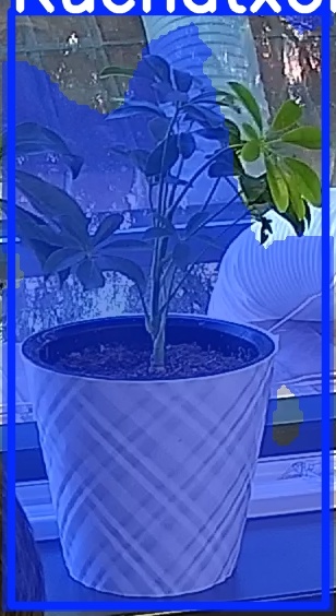 TREE-000013_20260623_080244.jpg