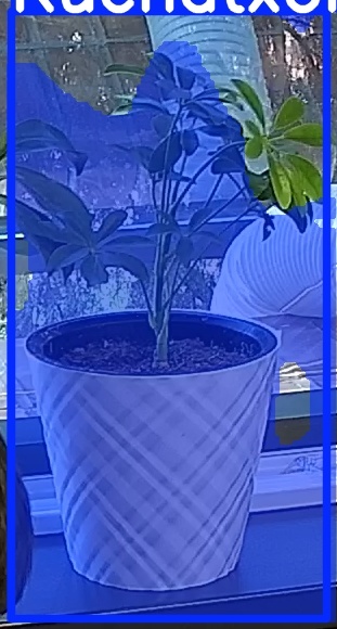 TREE-000013_20260623_080615.jpg