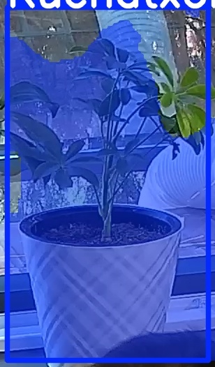 TREE-000013_20260623_080845.jpg