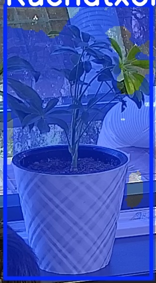 TREE-000013_20260623_080955.jpg