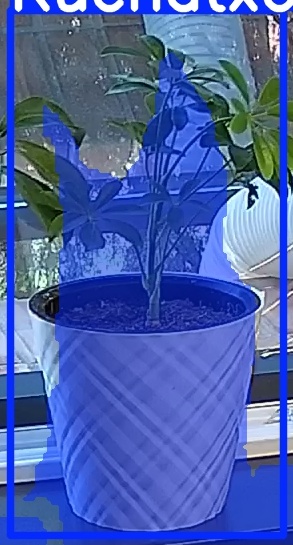 TREE-000013_20260623_081343.jpg