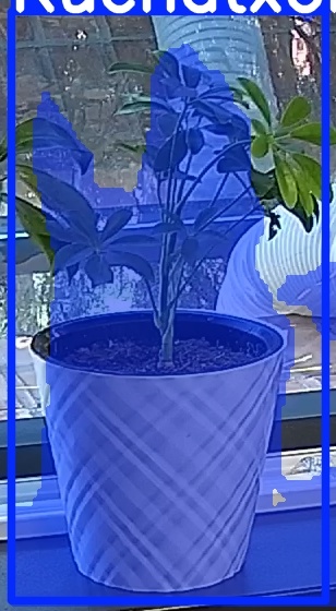 TREE-000013_20260623_081709.jpg