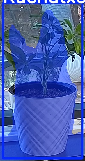 TREE-000013_20260623_081945.jpg