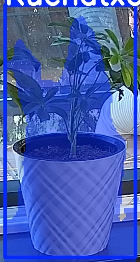 TREE-000013_20260623_082332.jpg