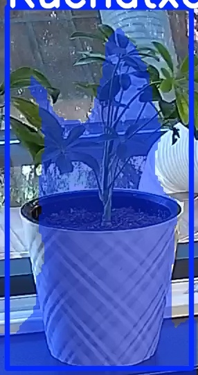 TREE-000013_20260623_082445.jpg