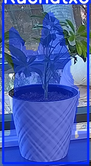 TREE-000013_20260623_082555.jpg