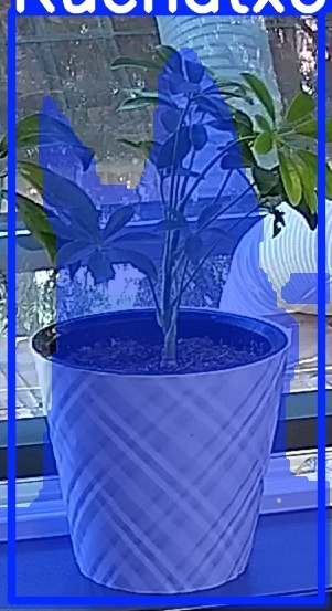 TREE-000013_20260623_082831.jpg