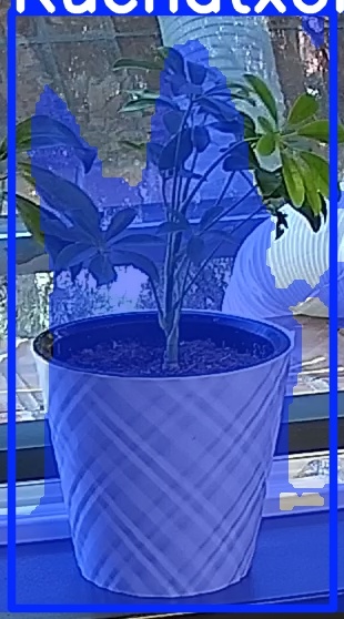 TREE-000013_20260623_083050.jpg