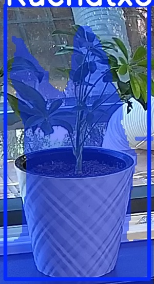 TREE-000013_20260623_083439.jpg