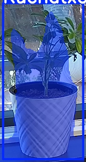 TREE-000013_20260623_083813.jpg