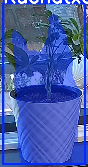 TREE-000013_20260623_083924.jpg