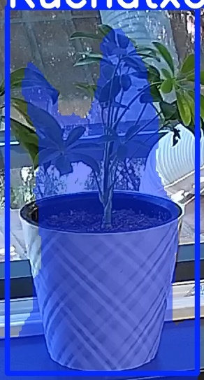 TREE-000013_20260623_084036.jpg