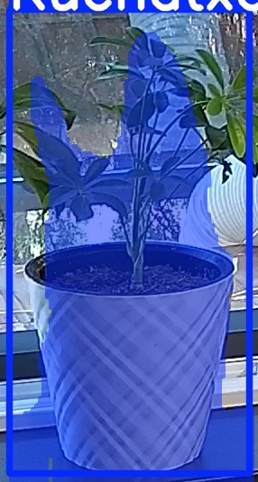 TREE-000013_20260623_084301.jpg