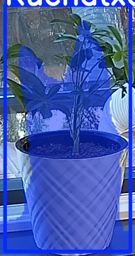 TREE-000013_20260623_084405.jpg