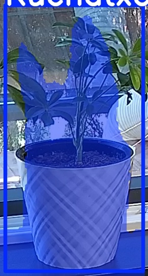 TREE-000013_20260623_084721.jpg