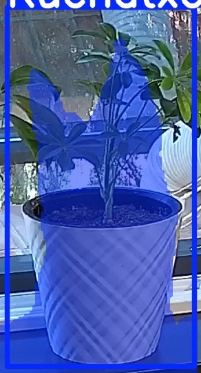 TREE-000013_20260623_084943.jpg