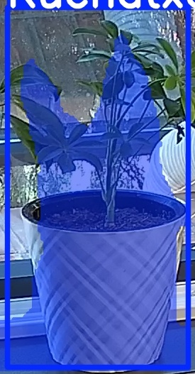 TREE-000013_20260623_085206.jpg
