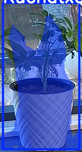TREE-000013_20260623_085332.jpg