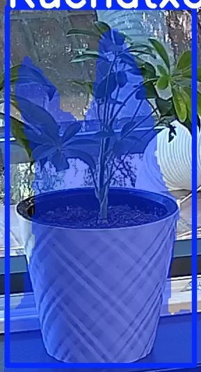 TREE-000013_20260623_085442.jpg