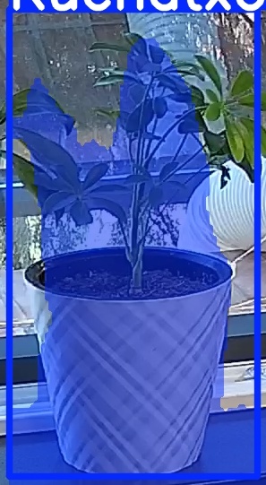 TREE-000013_20260623_085553.jpg