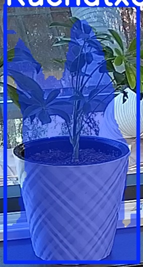 TREE-000013_20260623_085751.jpg