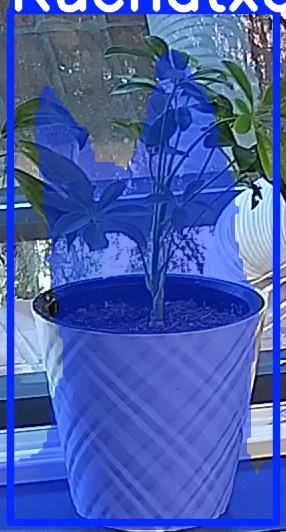 TREE-000013_20260623_085905.jpg