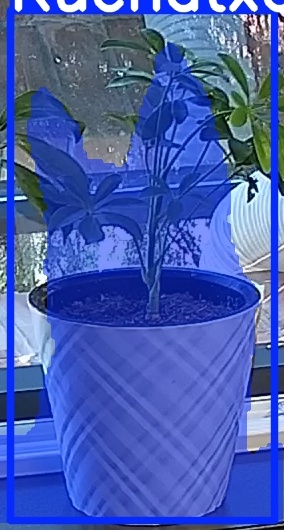 TREE-000013_20260623_090458.jpg