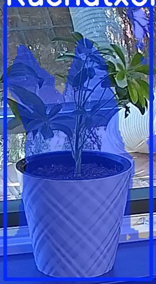 TREE-000013_20260623_091333.jpg