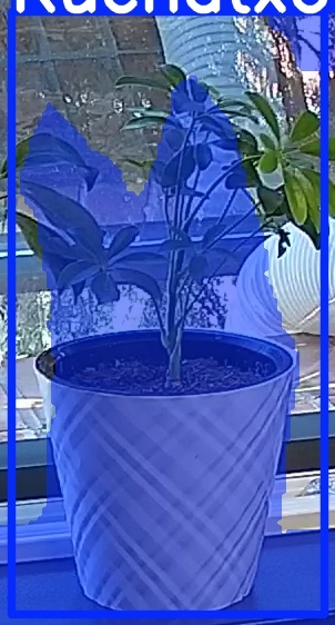 TREE-000013_20260623_091856.jpg