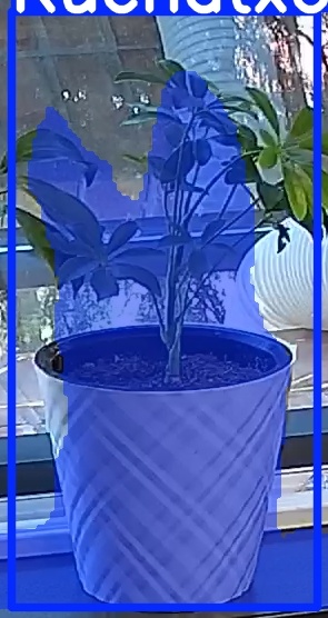 TREE-000013_20260623_091943.jpg