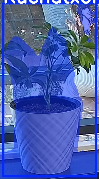 TREE-000013_20260623_093956.jpg
