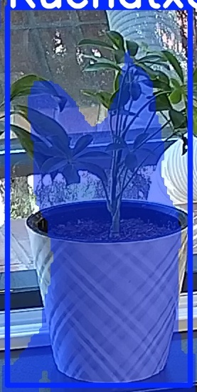 TREE-000013_20260623_101035.jpg
