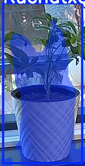 TREE-000013_20260623_101146.jpg