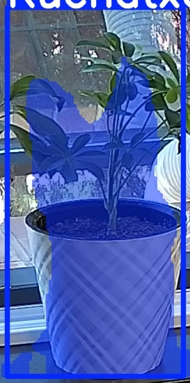 TREE-000013_20260623_101517.jpg