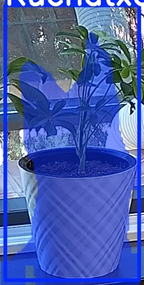 TREE-000013_20260623_101627.jpg
