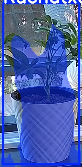 TREE-000013_20260623_101737.jpg
