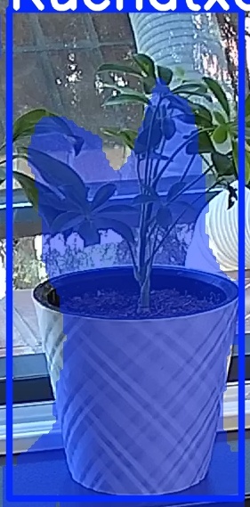 TREE-000013_20260623_101848.jpg