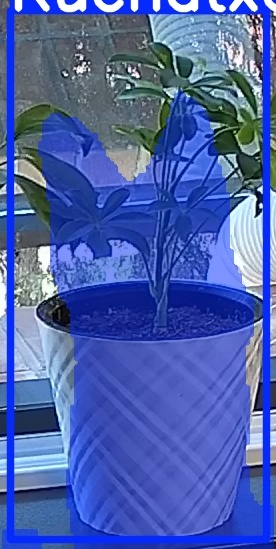 TREE-000013_20260623_102108.jpg